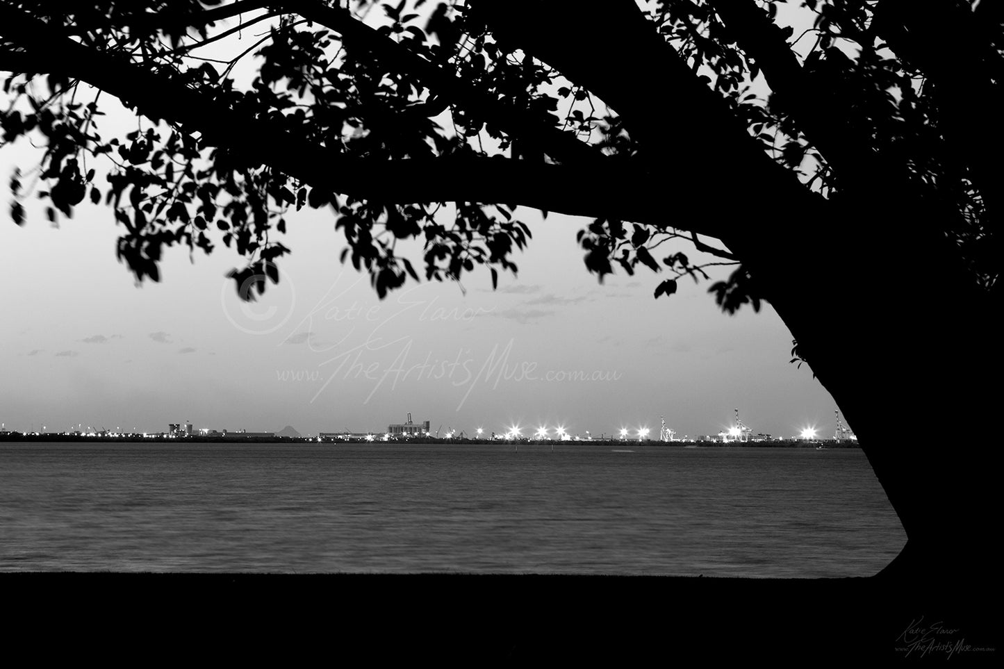 Landscape- Across the way