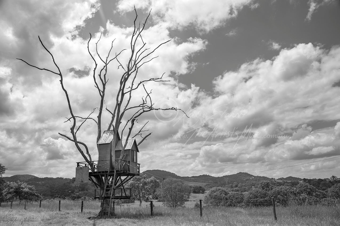 Landscape- Treasured Treehouse