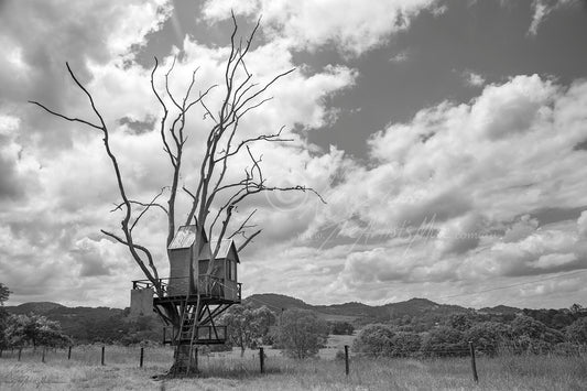 Landscape- Treasured Treehouse