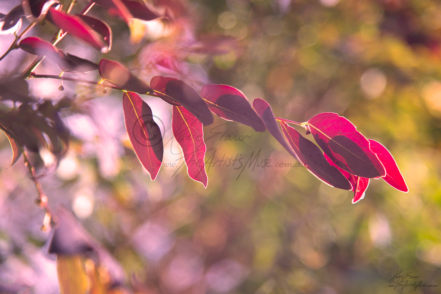 leaves Dancing (0303) Canvas Prints