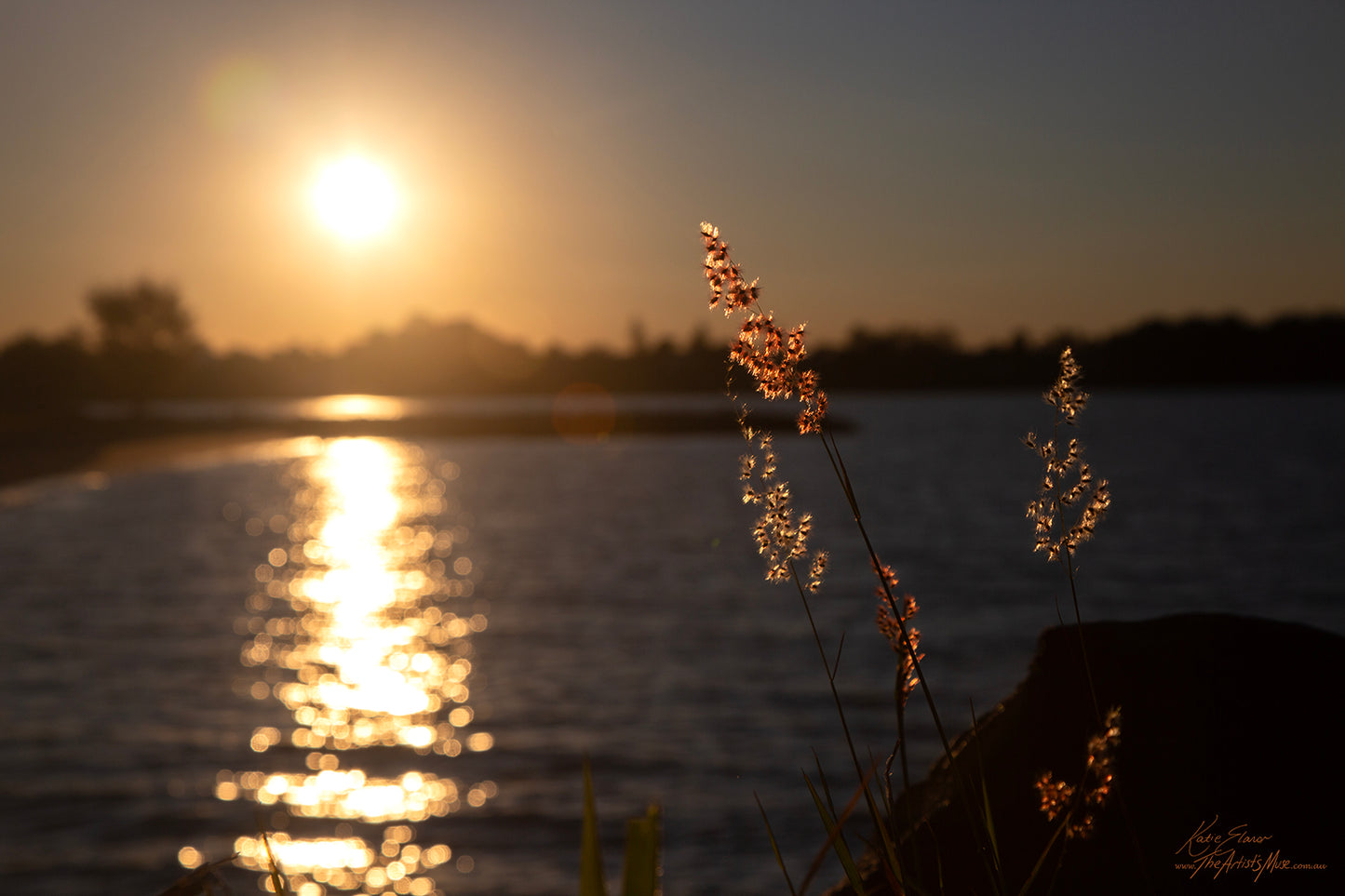 Landscape- Sunset Reeds