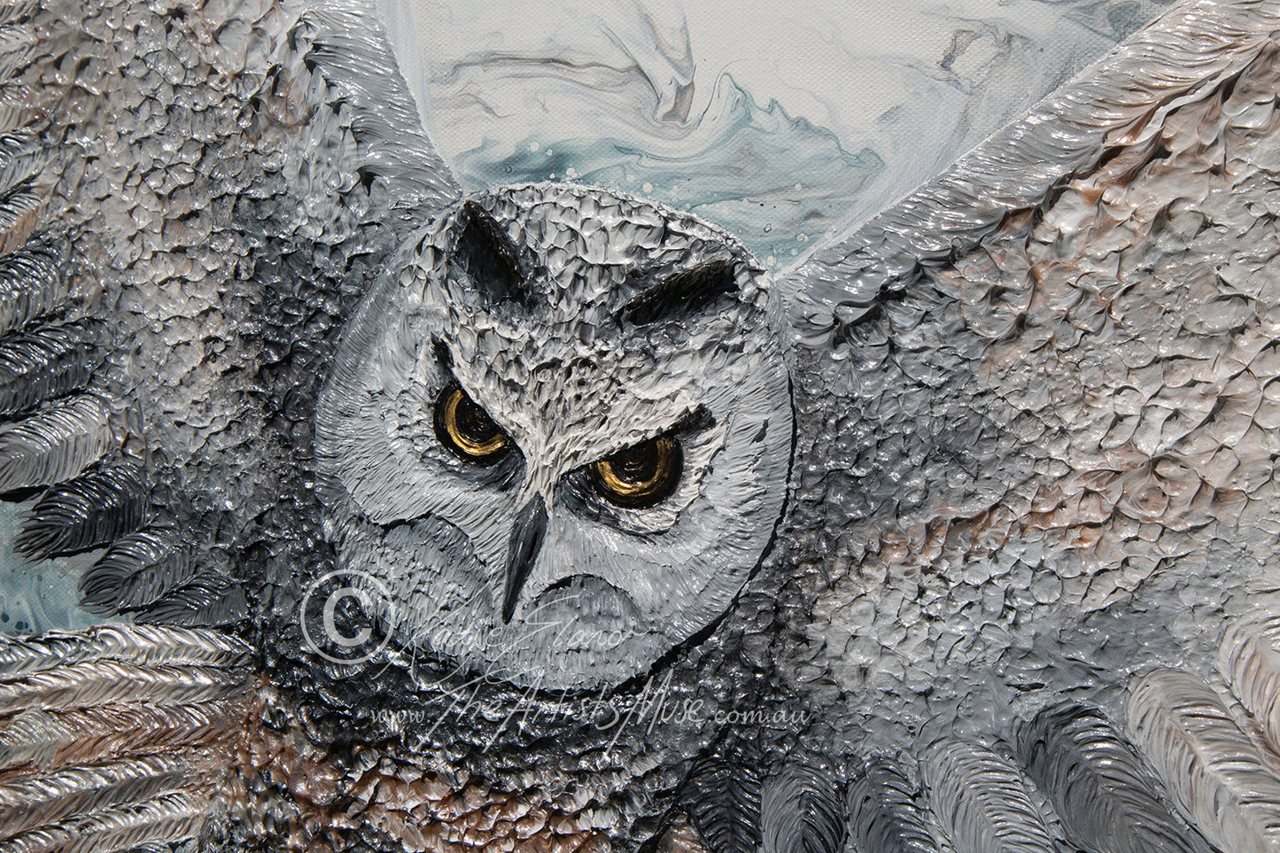 'Owl' 36x36 inch deep edge canvas