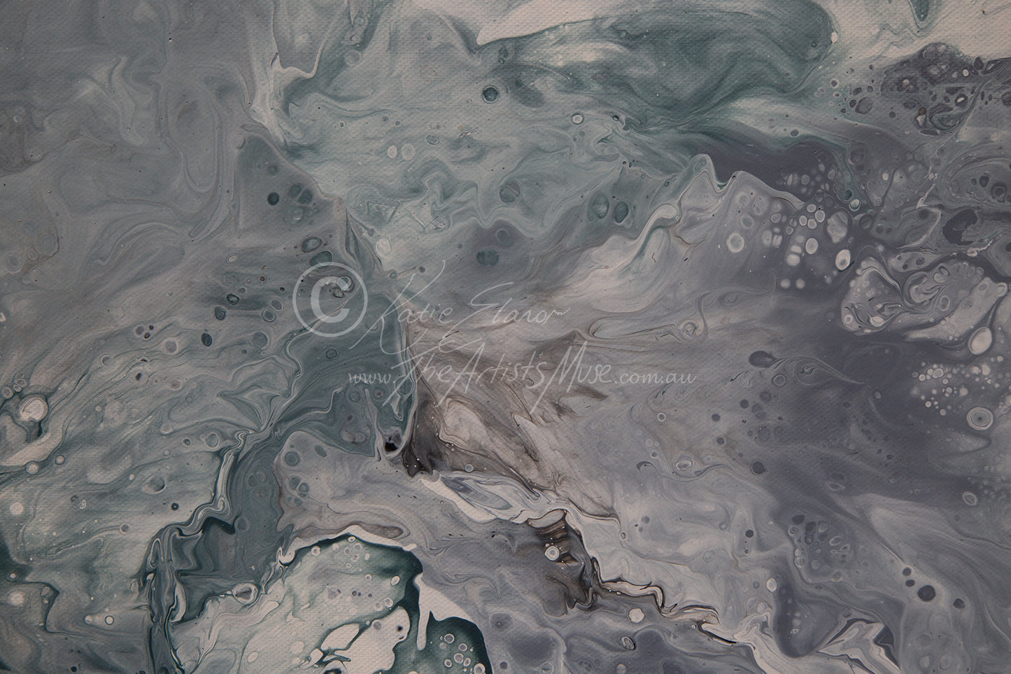 'Owl' 36x36 inch deep edge canvas