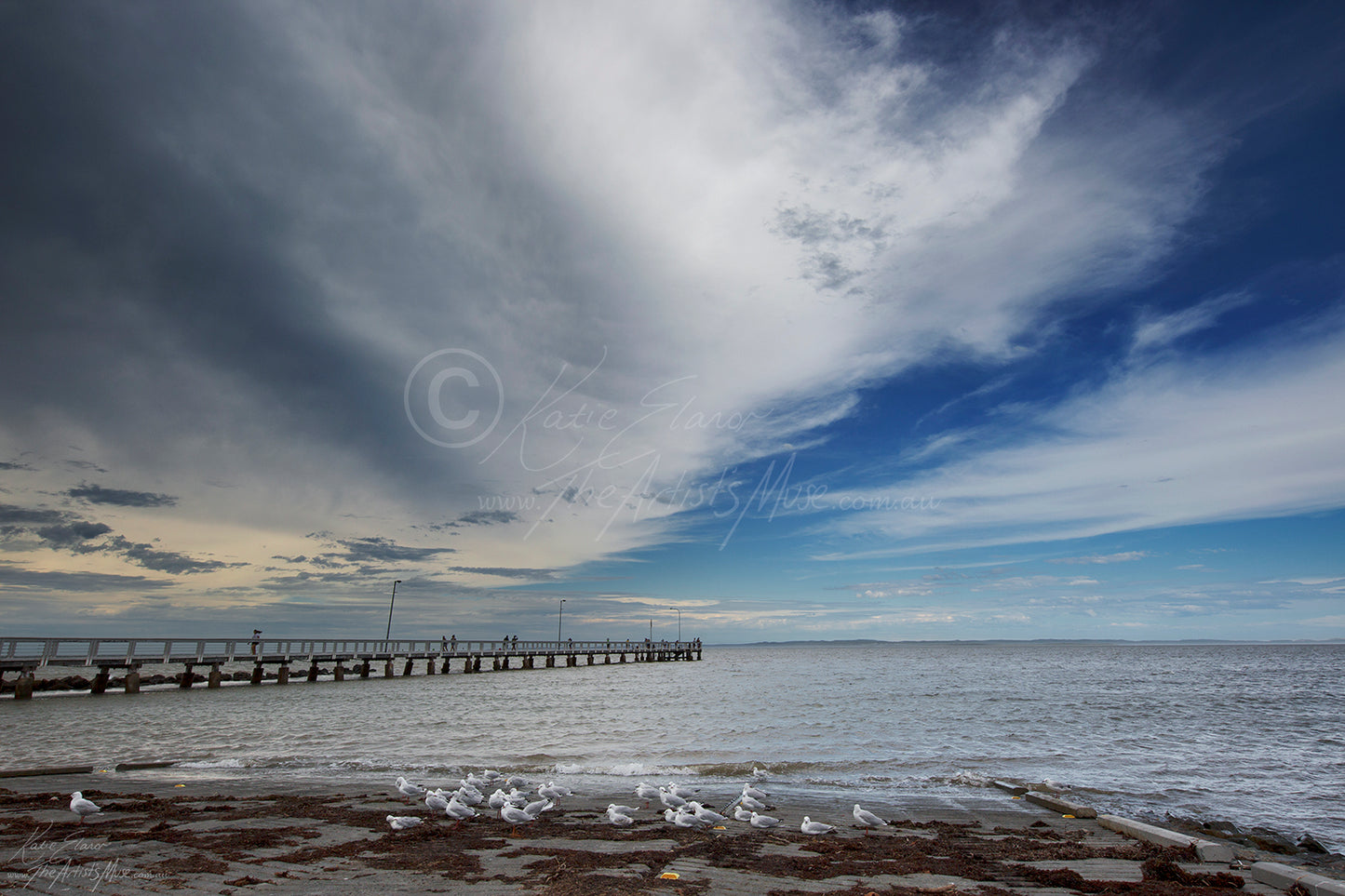 Landscape- Storm time gathering