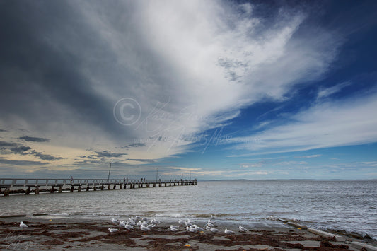 Landscape- Storm time gathering
