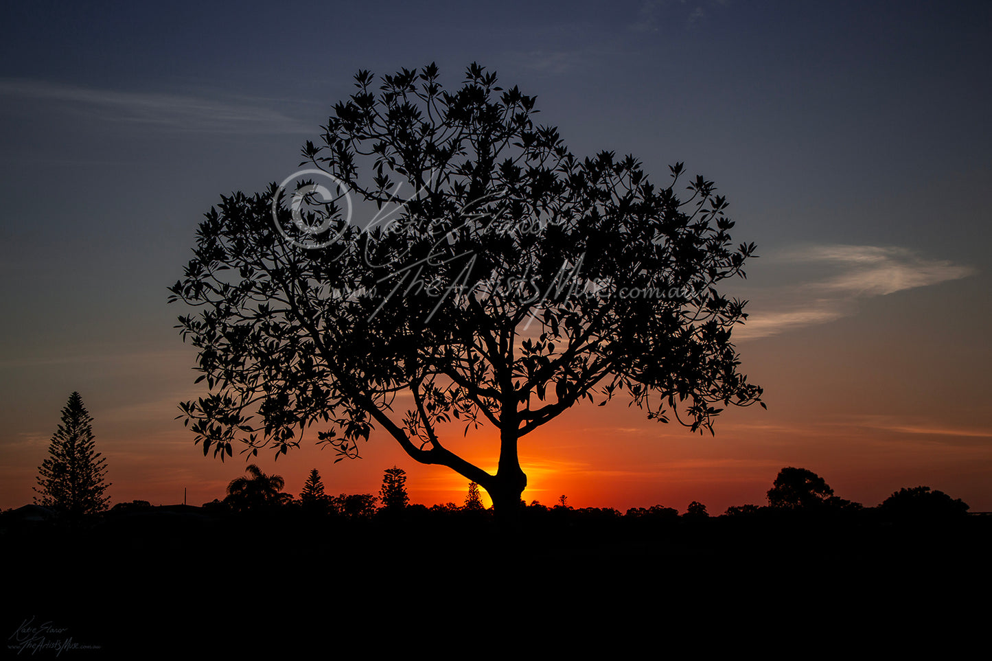 Landscape-